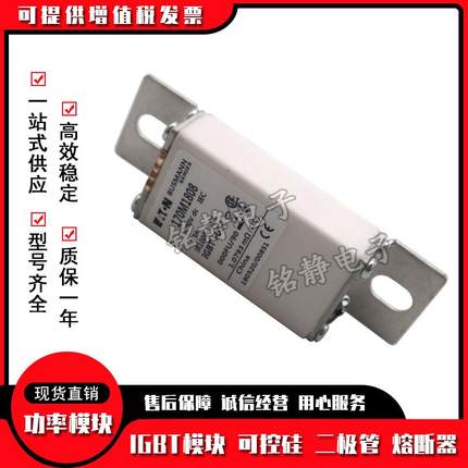 10M1807701M1808巴斯曼熔断器现货7170AYFM11809170M1810170M811