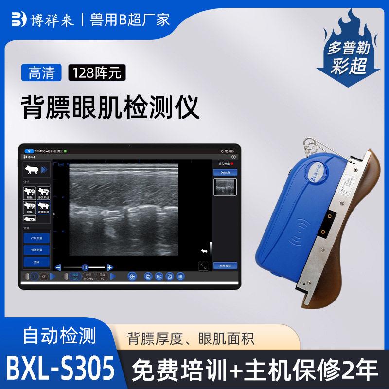BXL-S305猪羊背膘眼肌测定仪无线猪羊肉质检B超机自动计算背膘