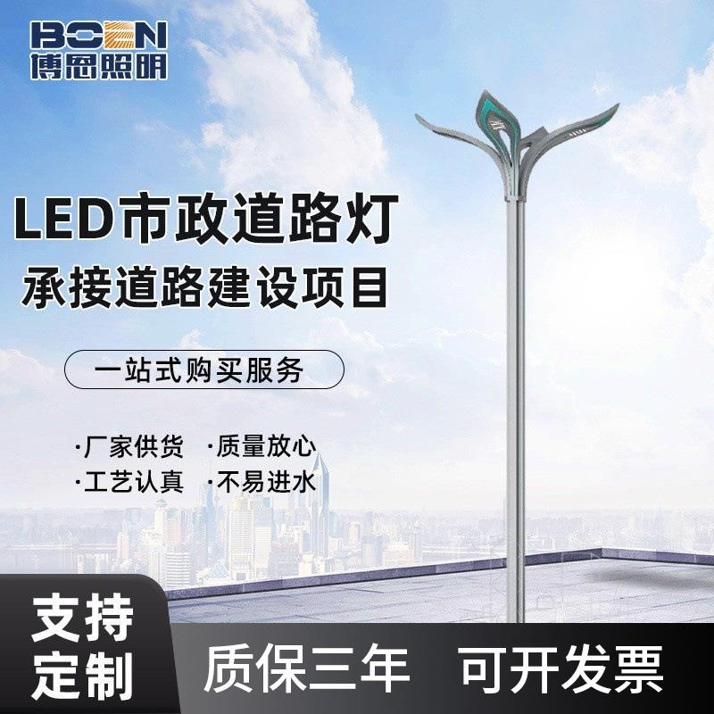 广场LED城市道路灯广场高杆灯照明灯新农村市电工程道路照明