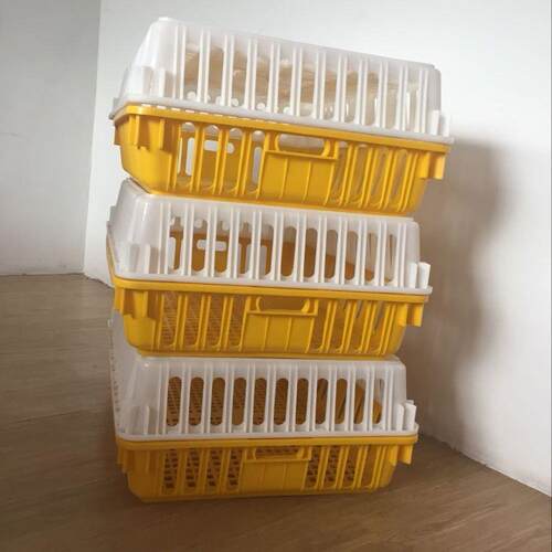 塑料周转筐加厚鸽子运输框成品鸡鸭笼黄白色组合养殖鸡笼强度高箱