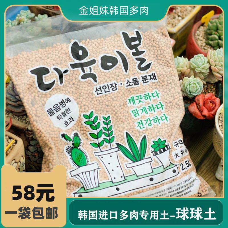 多肉种植铺面 球球土 多元土 活力土 纯颗粒