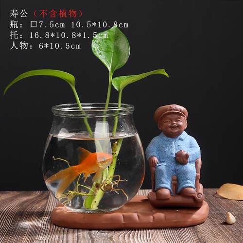 新款创意水养植物皿绿萝桌水培花瓶玻璃透明花盆陶瓶瓷器插花子面