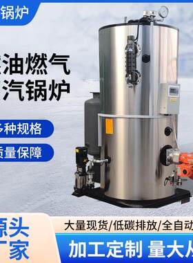 立式燃油燃气蒸汽锅炉生物质热水锅炉食品加工酿酒锅炉蒸汽发生器