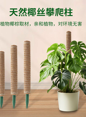 龟背支撑攀爬椰棕其它园艺用品