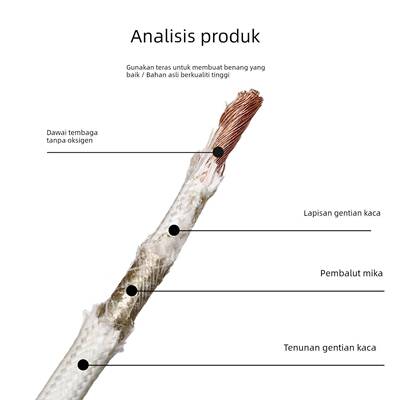 上海赢雪云母高温线GN500度阻燃耐火耐高温电线电磁加热4/6平方