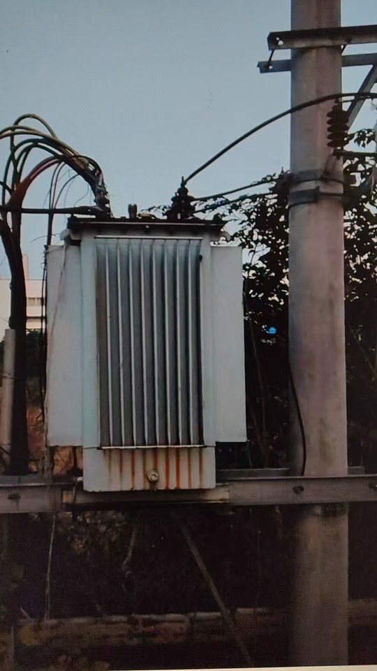 1月15日驻马店某单位处置变压器2台，配电箱2个还有连接地下电缆打包处理【驻马店】网络拍卖公告