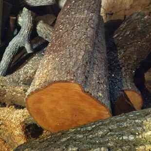 棠梨木原木料硬木料雕刻木料实木料杜梨木凳子料天然原木料