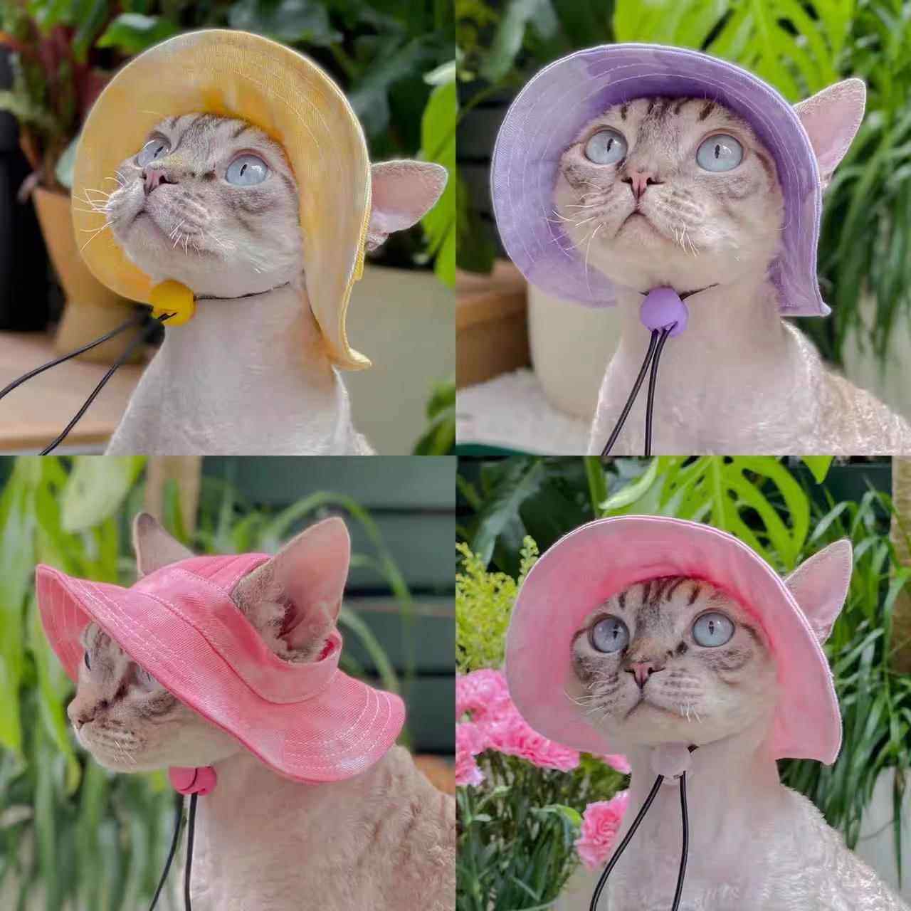 可爱露耳朵猫咪狗狗帽子夏季宠物防晒帽德文猫夏天渔夫帽拍照神器,宠物/宠物食品及用品,帽子,淘宝优惠券,粉丝福利购,淘宝优惠卷