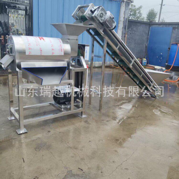 厂家工业桃子去核打浆机大型红枣去核打浆机商用沙棘果打浆设备