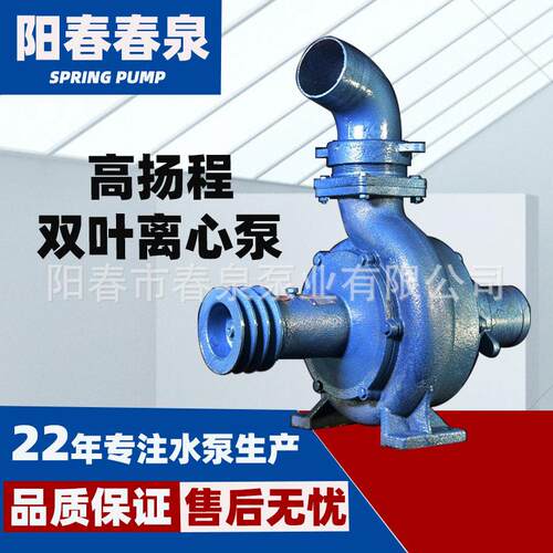 扬程大流量双叶轮压水泵农用离心泵新款离心式水泵农用抽水机