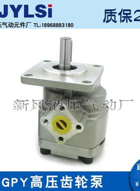 高压齿轮泵GPY-R/3R/4R/5.8R/7R/8R9R/0R//211.5R/12RGP1Y-6RZJRX