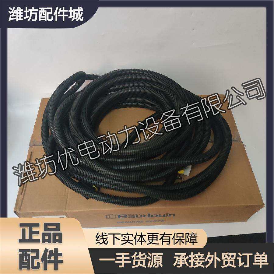 潍柴博杜安6M33发动机船用国三电喷柴油机线束1009024597整车线束图片