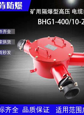 矿用隔爆型高压电缆接线盒BHG1-400/10-23G电缆连接分支线盒