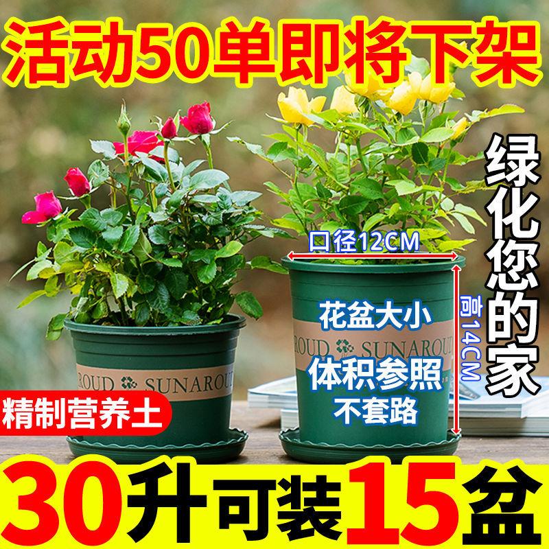 营养四季种菜土壤疏松栽培基质