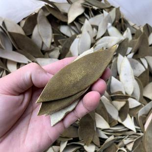 化州橘红皮贡果陈年片生果切片平定大岭村核心产区