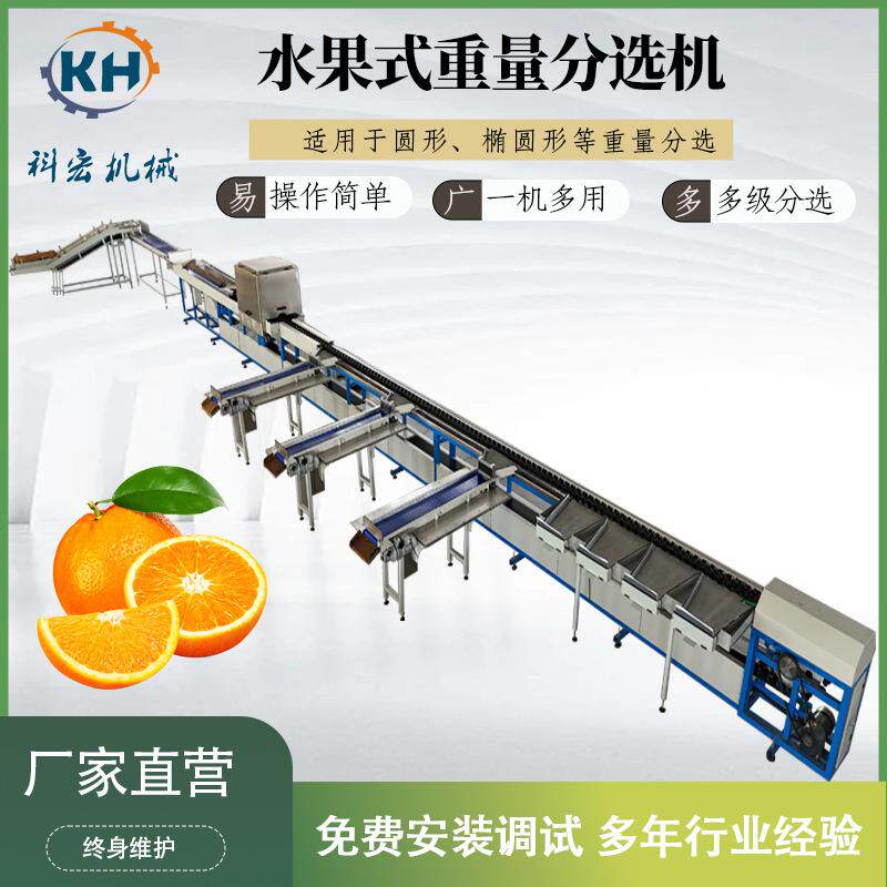 诸城水果智能分拣机圆形、椭圆形产品重量分级