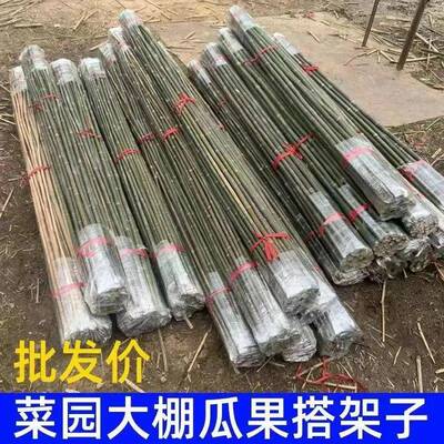 竹竿棍菜园爬藤搭子竹子杆蔬菜竹黄瓜豆角庭院栅栏竹竿篱笆