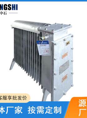 矿用常用防爆取暖器两厢2000瓦电热式取暖器矿用隔爆电热取暖器