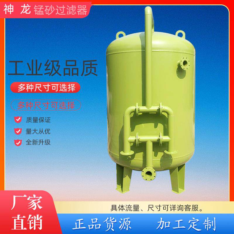 多介质过滤器石英砂锰砂活性炭泳池软水机10m³/h含毛发聚集器