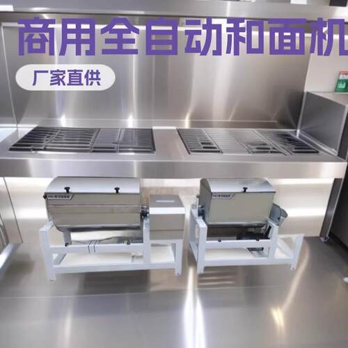 制做销售100公斤和面机立式和面机大和面机做面食不锈钢和面机