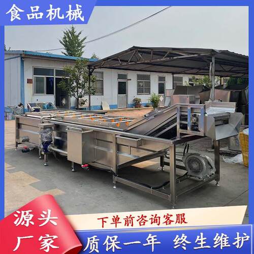 网带气泡式蔬菜清洗机蜜饯果脯加工清洗设备藕带气泡清洗流水线