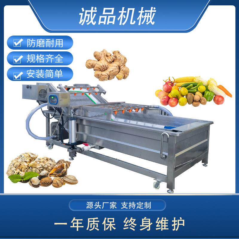 连续式果蔬气泡清洗机葡萄水果蔬菜清洗设备鼓泡全自动洗菜机器