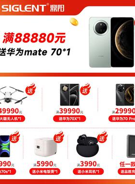 鼎阳（SIGLENT）SHS820X 手持示波器 200MHz带宽 2通道 1G采样 便