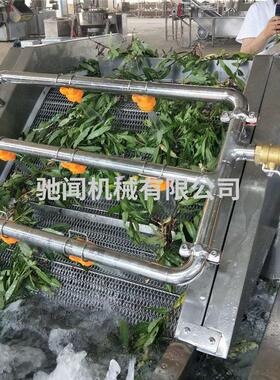 驰闻 气泡清洗机厂家 香菇蘑菇加工设备 香菇蘑菇清洗机多少钱