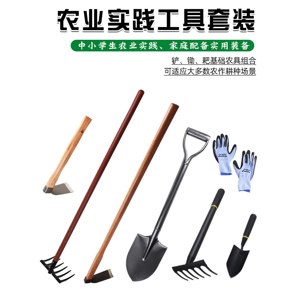 农具种植套铲锄铲农业实践学生教育劳动收集家庭蔬菜种植