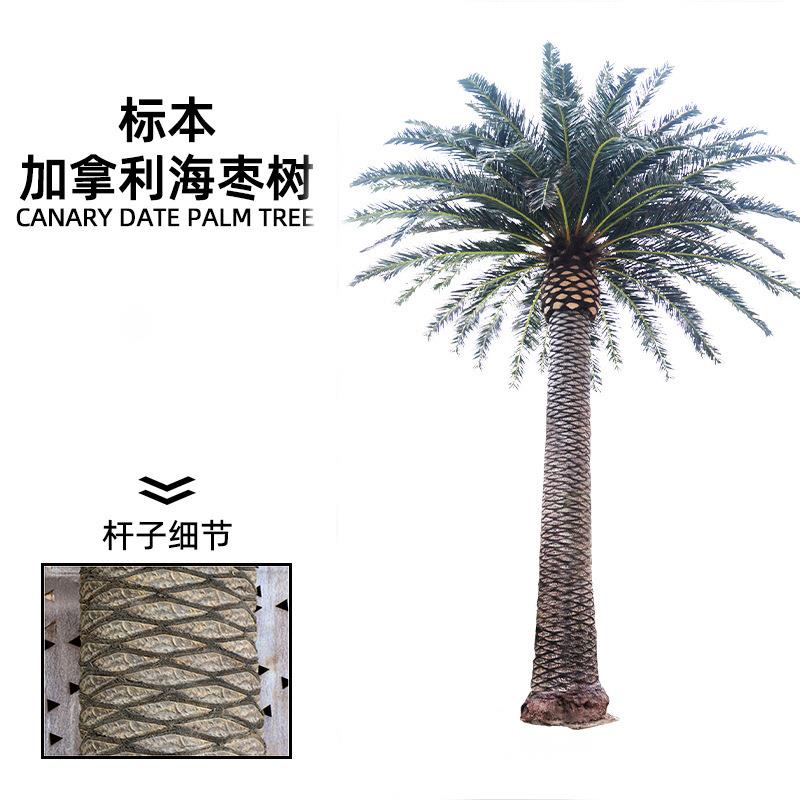 仿真海藻树大型室内外景观仿生海枣树中东加拿利仿真海枣树厂家