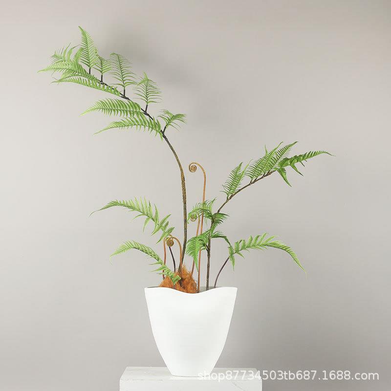 新中式简约现代仿真蕨草金丝蕨绿植盆景玄关柜吧台茶几售楼部摆件