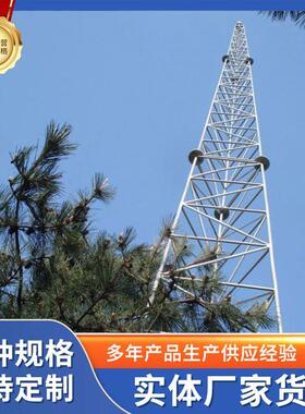 国标避雷塔GFL角钢GH钢管GJT圆钢GFW线塔避雷塔源头生产厂