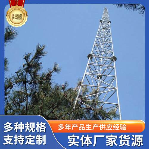 国标避雷塔GFL角钢GH钢管GJT圆钢GFW线塔避雷塔源头生产厂