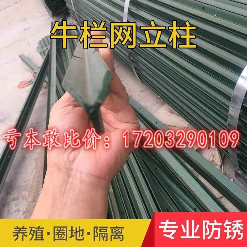 钢丝网围栏网立柱铁柱护栏网铁丝网养殖网燕尾柱养鸡网柱子立杆图片