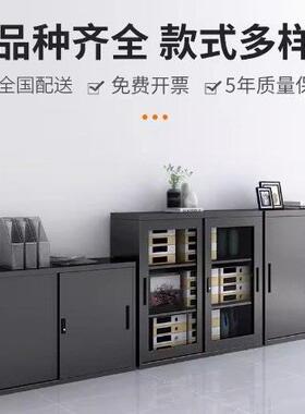 钢制办公ITD室文件柜黑色铁案皮矮书柜财务资料档阳台带锁柜储物