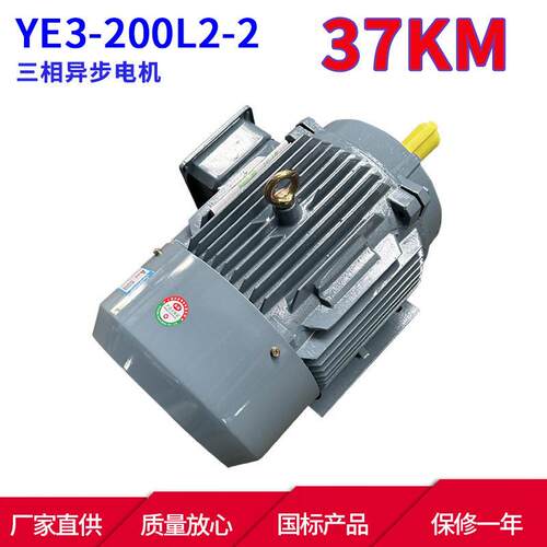 YE3系列马达三相异步电动机YE3-200L2-237W2极三相异步电机