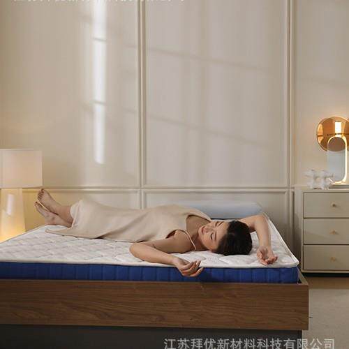 学生宿舍薄垫T2蓝盒子记忆棉床垫租房家用单人床褥海绵软垫子床铺