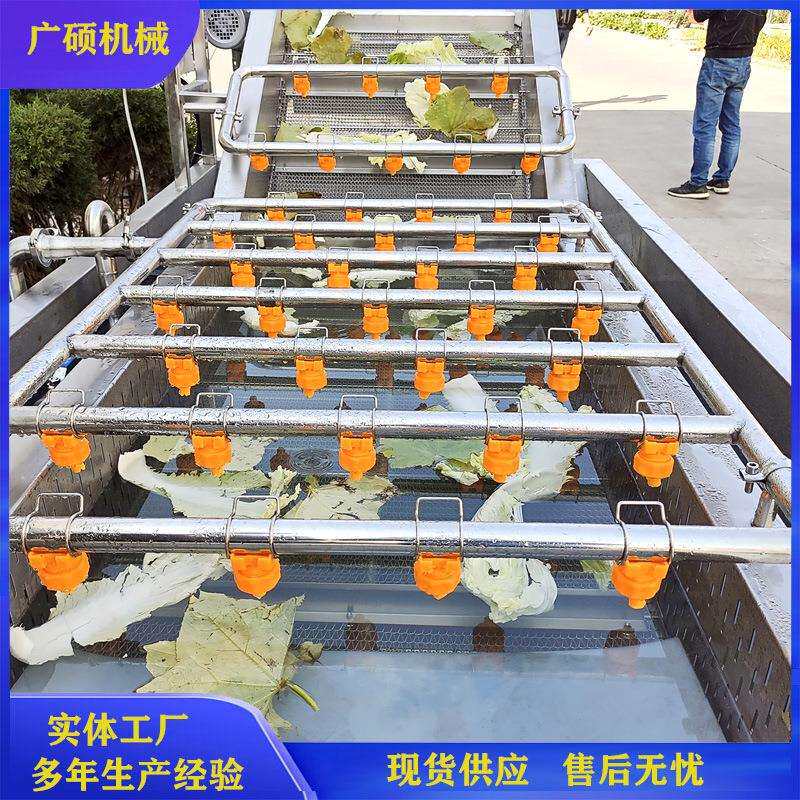 全自动气泡蔬菜清洗机 水果果蔬清洗设备 净菜辣椒青菜鼓泡清洗机