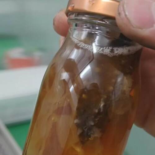 大连鲜炖海参全自动杀菌锅入味海参燕窝灭菌设备即食海参加工设备