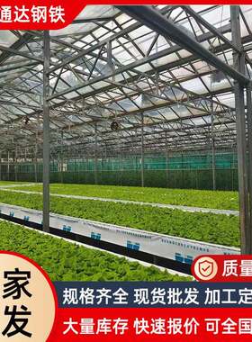 温室大棚加工家用蔬菜种植棚草莓棚西瓜棚葡萄棚薄膜大棚骨架