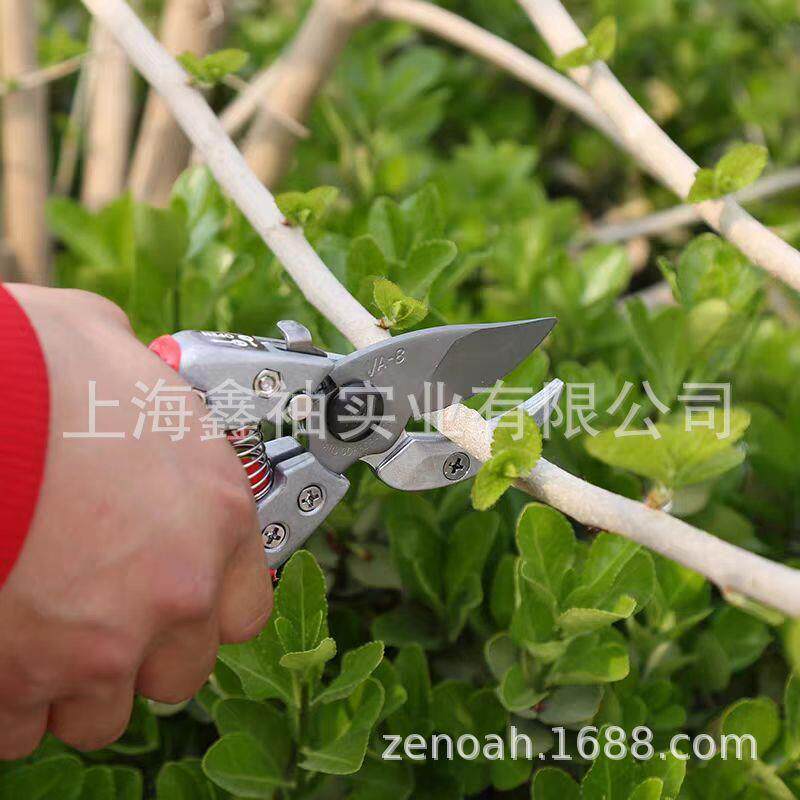 爱丽斯VA-7Z/8Z砧铁剪果树果枝苗圃盆景园林园艺修枝剪