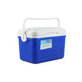 湖边钓鱼冷藏箱保温箱手提家用车载箱 eps垂钓6l 便携小型郊游