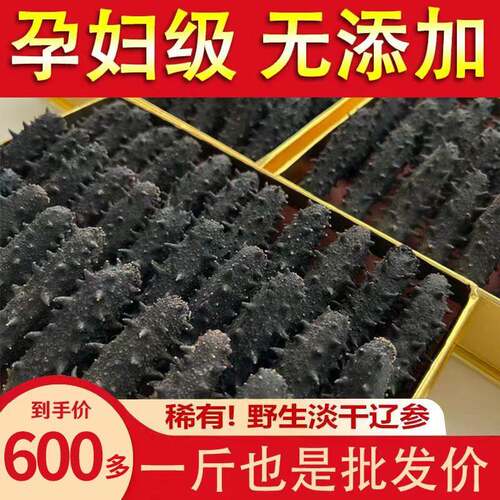 大连海参深海9年淡干海参辽参干 干货500g刺参非即食海参礼盒孕妇