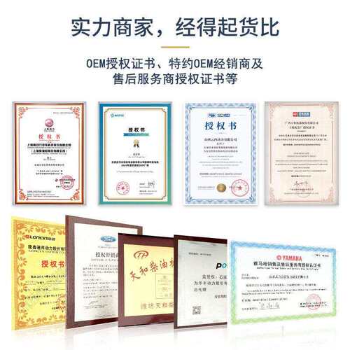 1218/调200/300/400/500K隆源无刷W全铜刷发电机同/步交流自动压