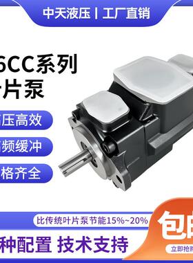 丹尼逊DENISON叶片泵T6CC-006-005-1R00-C100双联液压帮浦T6DC/T6