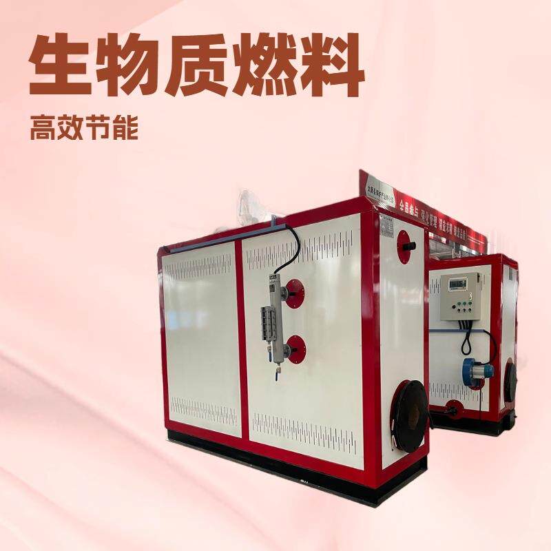 源头工厂现货直发牌卧式4吨生物质蒸汽汽发生器设备节能高效