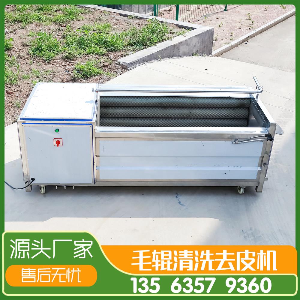 商用毛辊清洗机土豆去皮机全自动根茎类果蔬毛刷清洗设备