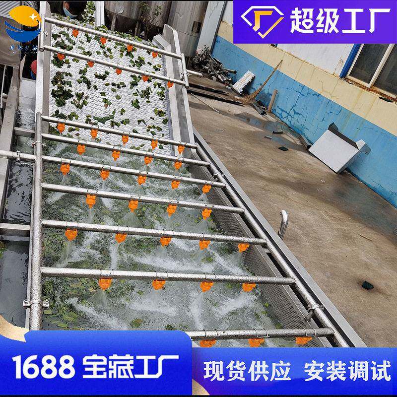 预制菜清洗机全自动喷淋桑芽菜漂洗设备传送式山野菜清洗加工线