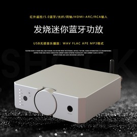 适用hifi蓝牙迷你胆机桌面功放机发烧家用小型后级数字一体非d类8