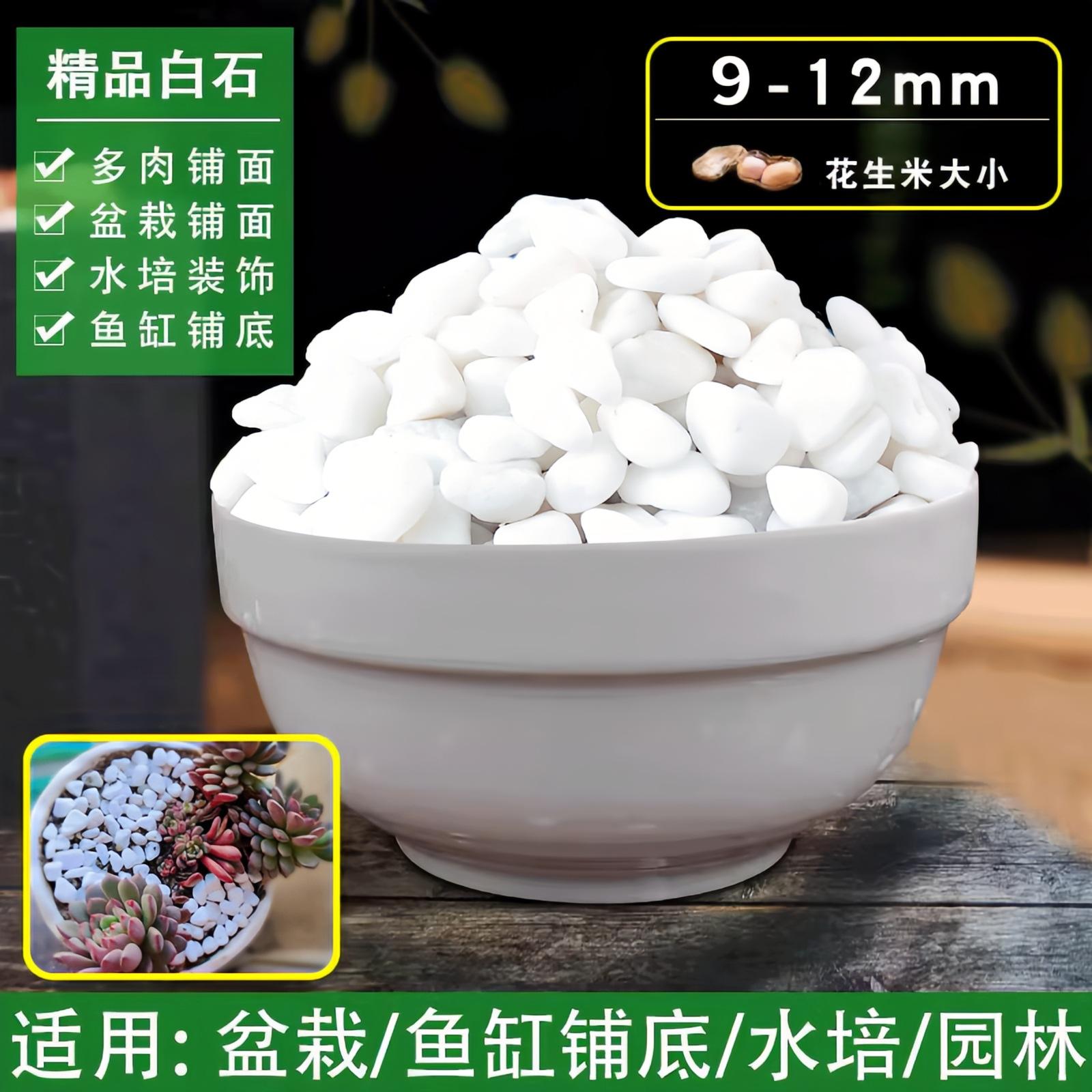 天然五彩石雨花石鱼缸造铺底盆栽水培多肉植物铺面装饰小石头